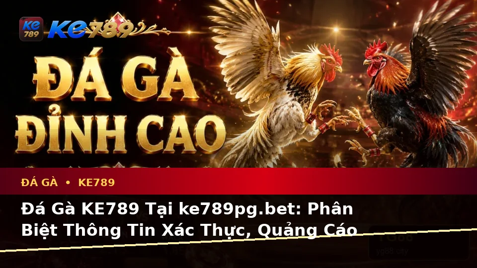 Đá Gà KE789 Tại ke789pg.bet: Phân Biệt Thông Tin Xác Thực, Quảng Cáo Và Kỳ Vọng Thực Tế Qua Dữ Liệu Phiên Chơi
