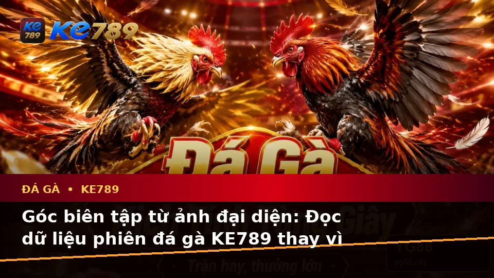 Đá Gà KE789 Tại ke789pg.bet: Phân Biệt Thông Tin Xác Thực, Quảng Cáo Và Kỳ Vọng Thực Tế Qua Dữ Liệu Phiên Chơi