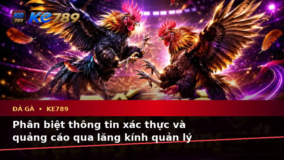 Đá Gà KE789 Tại ke789pg.bet: Phân Biệt Thông Tin Xác Thực, Quảng Cáo Và Kỳ Vọng Thực Tế Qua Dữ Liệu Phiên Chơi