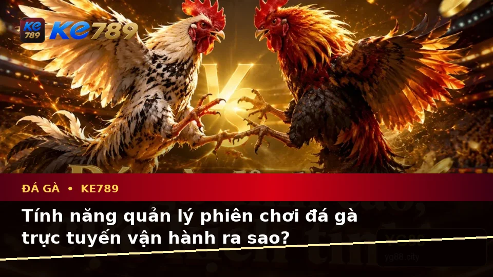 Đá Gà Trực Tuyến KE789 Tại ke789pg.bet: Giải Mã Biểu Tượng, Tính Năng Và Quy Trình Phiên Chơi Qua Góc Nhìn Dữ Liệu