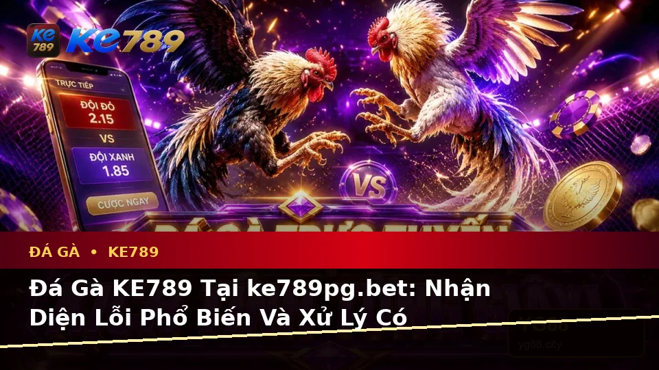 Đá Gà KE789 Tại ke789pg.bet: Nhận Diện Lỗi Phổ Biến Và Xử Lý Có Trách Nhiệm Qua Góc Nhìn Dữ Liệu