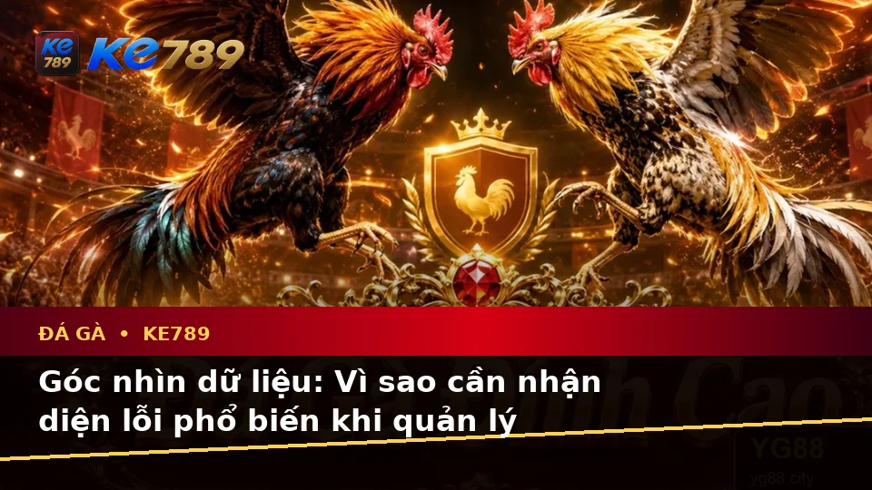 Đá Gà KE789 Tại ke789pg.bet: Nhận Diện Lỗi Phổ Biến Và Xử Lý Có Trách Nhiệm Qua Góc Nhìn Dữ Liệu