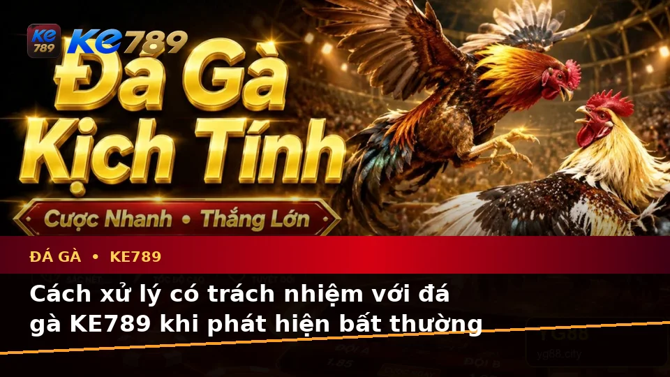 Đá Gà KE789 Tại ke789pg.bet: Nhận Diện Lỗi Phổ Biến Và Xử Lý Có Trách Nhiệm Qua Góc Nhìn Dữ Liệu
