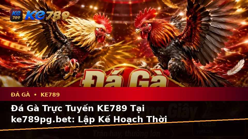 Đá Gà Trực Tuyến KE789 Tại ke789pg.bet: Lập Kế Hoạch Thời Gian, Ngân Sách Và Lịch Sử Phiên Chơi Qua Dữ Liệu