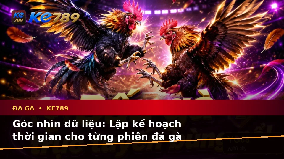 Đá Gà Trực Tuyến KE789 Tại ke789pg.bet: Lập Kế Hoạch Thời Gian, Ngân Sách Và Lịch Sử Phiên Chơi Qua Dữ Liệu