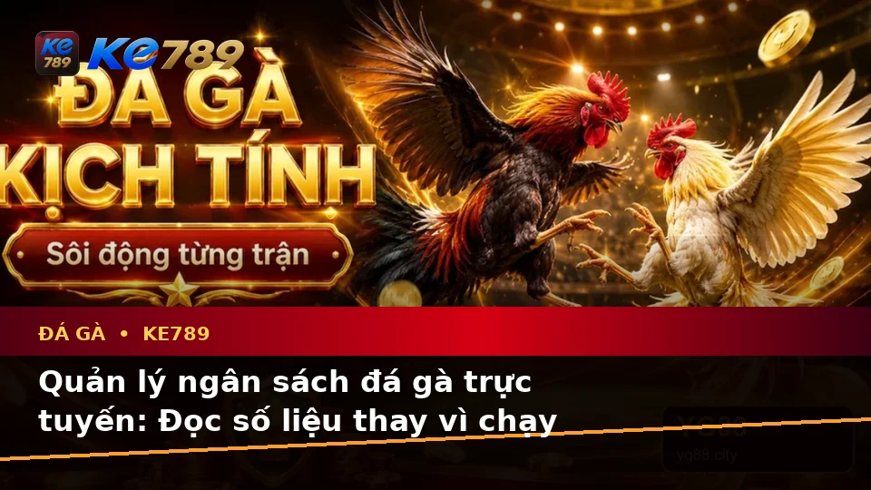 Đá Gà Trực Tuyến KE789 Tại ke789pg.bet: Lập Kế Hoạch Thời Gian, Ngân Sách Và Lịch Sử Phiên Chơi Qua Dữ Liệu