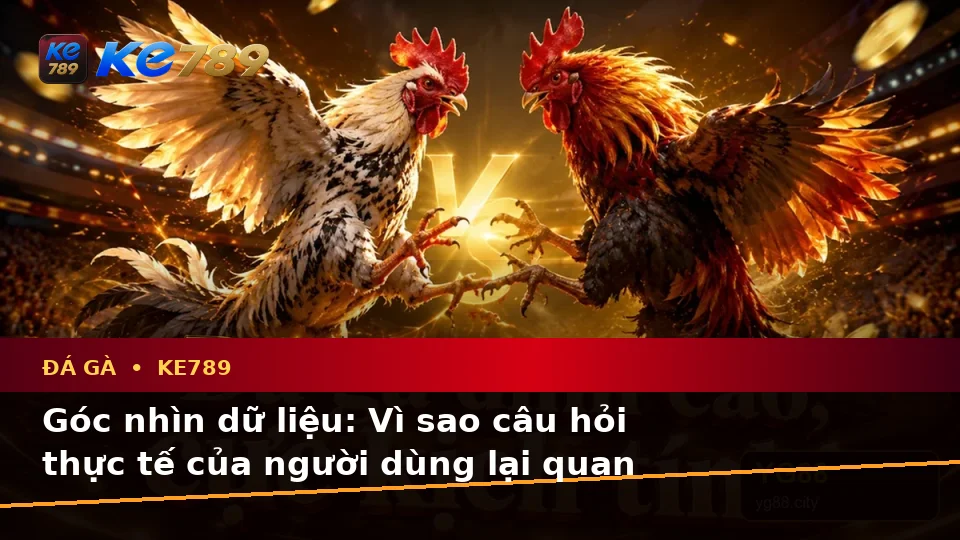 Đá Gà KE789 Qua Dữ Liệu Người Dùng: Tổng Hợp Câu Hỏi Thực Tế Về Quản Lý Phiên Chơi Tại ke789pg.bet