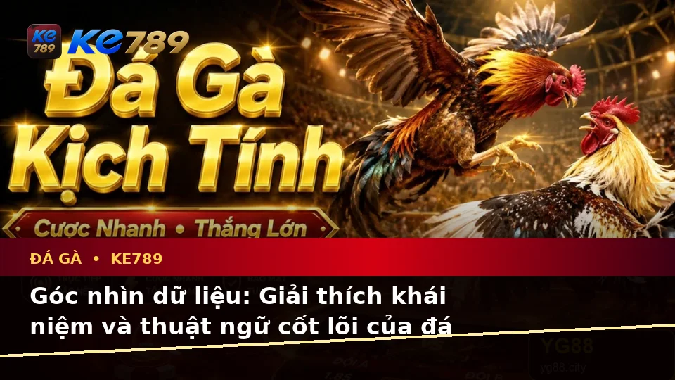 Đá Gà Trực Tuyến Và Quản Lý Phiên Chơi Tại ke789pg.bet: Giải Thích Thuật Ngữ Cốt Lõi Qua Góc Nhìn Dữ Liệu