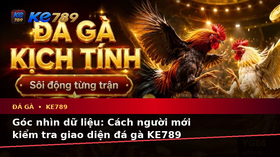 Đá Gà KE789 Tại ke789pg.bet: Hướng Dẫn Người Mới Kiểm Tra Giao Diện Và Đọc Dữ Liệu Phiên Chơi Trực Tuyến