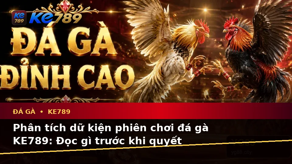 Đá Gà KE789 Qua Góc Nhìn Dữ Liệu: Phân Tích Rủi Ro Và Giới Hạn Ngân Sách Tại ke789pg.bet