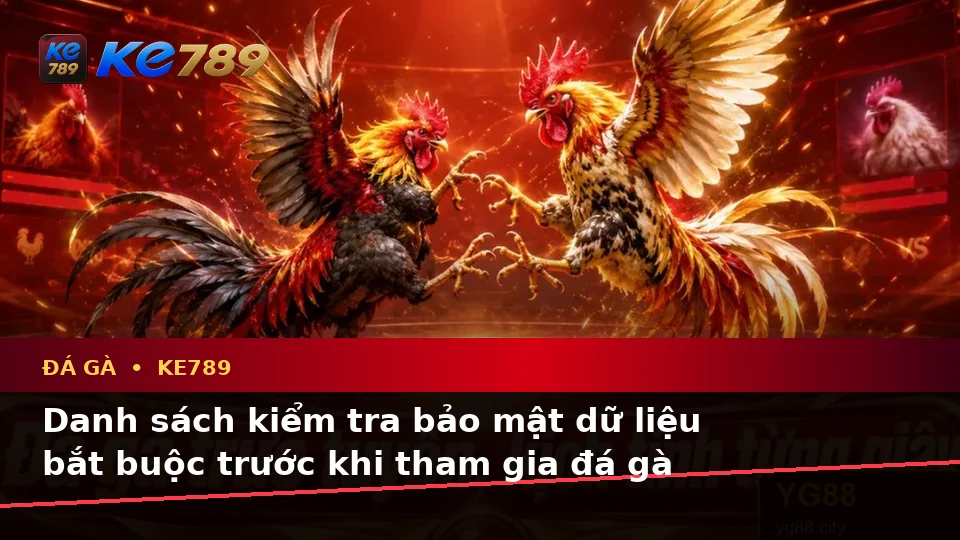 Đá Gà Trực Tuyến KE789 Tại ke789pg.bet: Xây Dựng Danh Sách Kiểm Tra Bảo Mật Qua Góc Nhìn Dữ Liệu Trước Khi Quản Lý Phiên Chơi