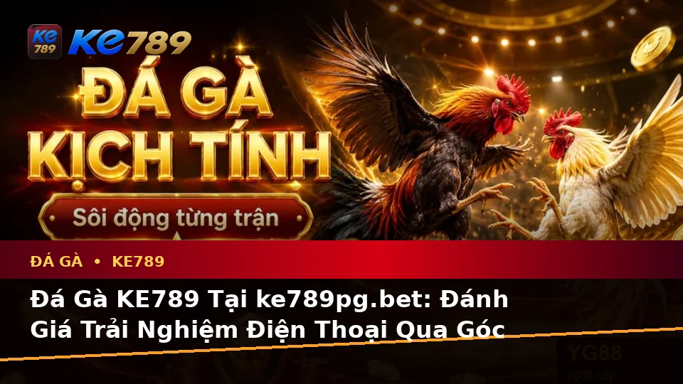 Đá Gà KE789 Tại ke789pg.bet: Đánh Giá Trải Nghiệm Điện Thoại Qua Góc Nhìn Dữ Liệu Khi Quản Lý Phiên Chơi