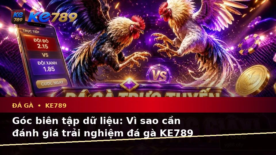 Đá Gà KE789 Tại ke789pg.bet: Đánh Giá Trải Nghiệm Điện Thoại Qua Góc Nhìn Dữ Liệu Khi Quản Lý Phiên Chơi
