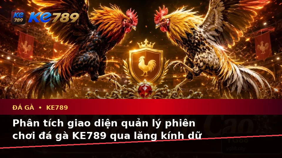 Đá Gà KE789 Tại ke789pg.bet: Đánh Giá Trải Nghiệm Điện Thoại Qua Góc Nhìn Dữ Liệu Khi Quản Lý Phiên Chơi